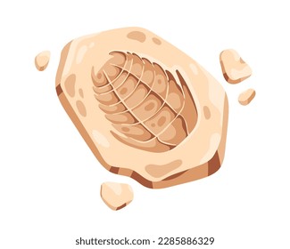Ancient fossil stone. Prehistoric rock, fossilized trilobite impression, imprint, old organic footprint. Archeology, paleontology art. Flat cartoon vector illustration isolated on white background