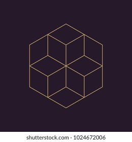 Ancient geometric mandala abstract line. Unique shape trendy. Isolated in dark background.
