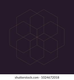 Ancient geometric mandala abstract line. Unique shape trendy. Isolated in dark background.