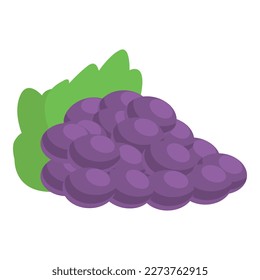 Ancient greece grapes icon cartoon vector. Greek culture. Tourism history