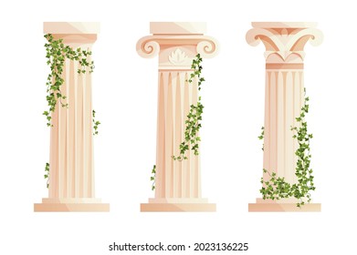 Ancient Greek column with ivy climbing branches. Roman pillar. Building design elements and decoration. Cartoon vector illustration.