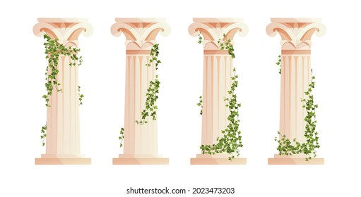 Ancient Greek column with ivy climbing branches. Roman pillar. Building design elements and decoration. Cartoon vector illustration.