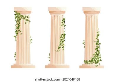 Ancient Greek column with ivy climbing branches. Roman pillar. Building design elements and decoration. Cartoon vector illustration.