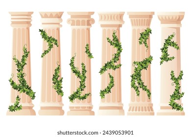 Ancient ivy covered column set. Museum and exhibition. Cartoon greek or roman pillars with climbing ivy branches. Antique foliage decorated element. Cartoon flat vector isolated on white.
