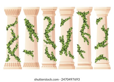 Ancient ivy covered column set. Museum and exhibition. Cartoon greek or roman pillars with climbing ivy branches. Antique foliage decorated element. Cartoon flat vector isolated on white.