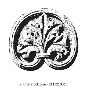 Vector de ornamento de hoja antigua en estilo de medio tono monocromo