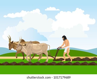 Ancient Man In A Loincloth Works The Land With Oxen And Plough. Vector Illustration