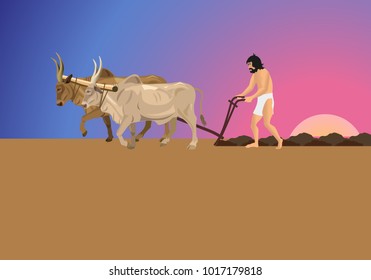 Ancient Man In A Loincloth Works The Land With Oxen And Plough. Vector Illustration