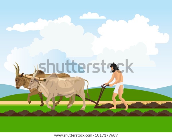 褌を締めた古代人は牛や鋤で土地を耕す ベクターイラスト のベクター画像素材 ロイヤリティフリー