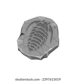 Ancient mollusc fossil imprint in stone. Jurassic era aquatic animal stone imprint, prehistoric mollusk skeleton paleontology museum rock or extinct trilobite, water fauna organism vector fossil