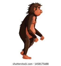 Ancient monkey or homo erectus, human ancestor cartoon vector illustration. Tailless great ape, primates, one of stages in Darwin evolutionary theory, isolated on white background