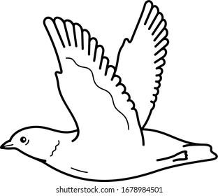 Ancient Murrelet. Vector outline icon.