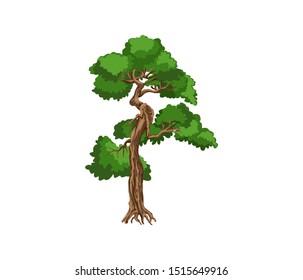 The Ancient and old tree. Green Tree with Roots. Vector Illustration