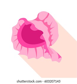 Ancient pink female bonnet icon. Flat illustration of ancient pink female bonnet vector icon for web