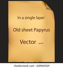 Ancient scroll on brown background with shadow. Old A4 sheet for your text, image, photography and design.