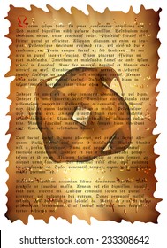 ancient scroll with text and mystical seal background vector