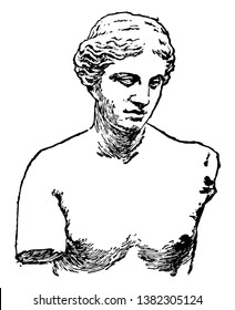 Una antigua escultura de Venus de Melos, la diosa griega del amor y la belleza, dibujo vintage o ilustración grabadora.