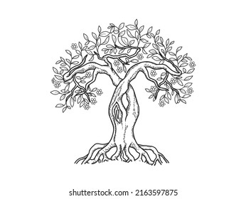 Ancient tree hand drawing. tree logo design with line art style.