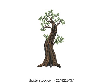 ancient tree illustration isolated on white
