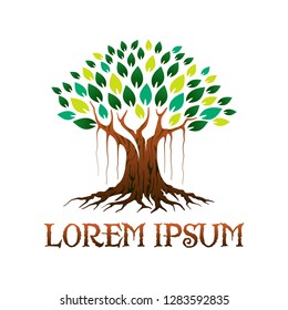 ancient tree logo vector illustration