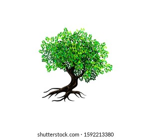 Ancient tree logo vector illustration, tree icon vector isolated on white background