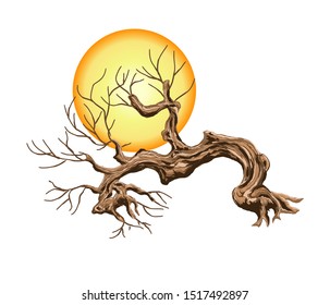 ancient tree with the moon as a background