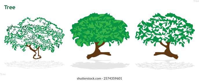 Ancient Tree with Twisted Branches