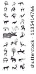 Ancient Turkic petroglyphs