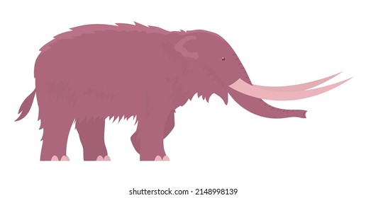 Ancient woolly american mammoth. Extinct animal of the Ice Age. Tusks and trunk. Vector cartoon illustration isolated on white background