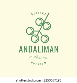 andaliman spice cooking comida cola de sabor hipster diseño de logo geométrico vectorial icono plantilla de ilustración