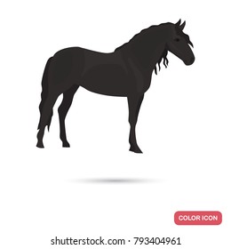 Andalusian horse color flat icon