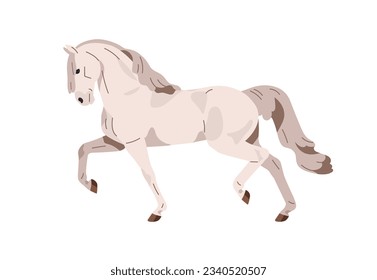 Andalusian horse trotting. Equine animal of Spanish breed. Stallion profile in action, movement, gait, side view. Graceful beautiful steed. Flat vector illustration isolated on white background
