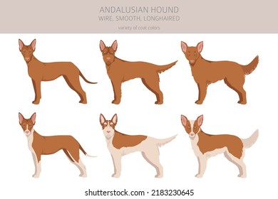 Clipart andaluza. Postas diferentes, colores de abrigo.  Ilustración del vector