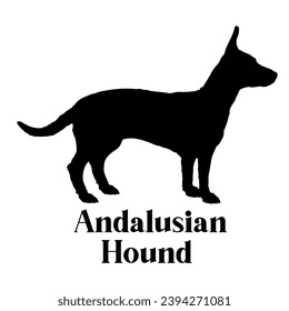 Andalusian Hound Dog silhouette dog breeds logo dog monogram logo dog face vector