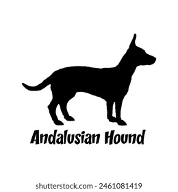 Andalusian Hound Dog silhouette dog breeds logo dog monogram vector