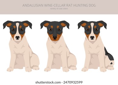 Andalusian Wine-cellar rat hunting dog puppy clipart. Different poses, coat colors set. Vector illustration