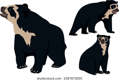 Andean Bear in Different Positions Isolated - Spectacled bear Jukumari