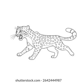 Andean Cat – Leopardus jacobita. Angry leopard roaring while walking in aggressive wild animal illustration. Wildlife concept
