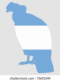Andean Condor Argentina