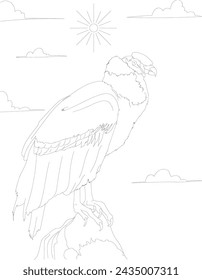 Andean condor chile line art for coloring book interior