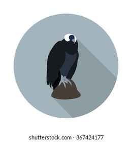 Andean condor icon. vector illustration