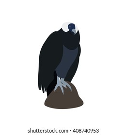 Andean condor. vector illustration