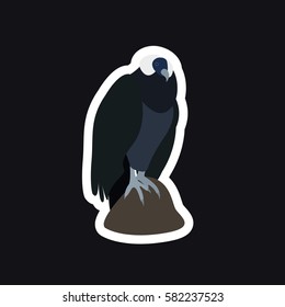 Andean condor. vector illustration