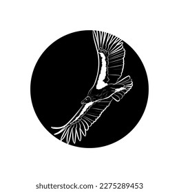 The Andean condor (Vultur gryphus) in circle. Graphic drawing. Vector illustration.