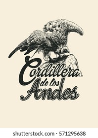 Andean Mountains inscription in Spanish. Design T-shirt With Griffon Vulture On The Rock. Vector Illustration.