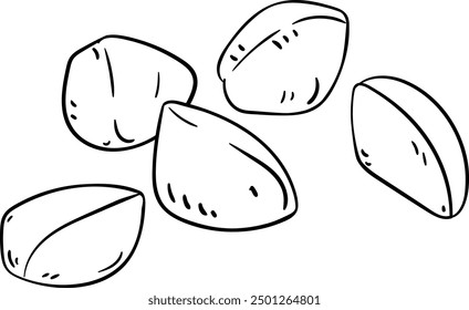 Andiroba Nuts Isolated Outline Illustration.