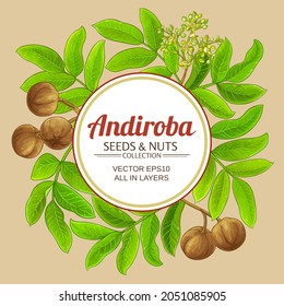 andiroba vector frame on color background