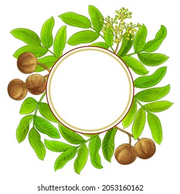 andiroba vector frame on white background