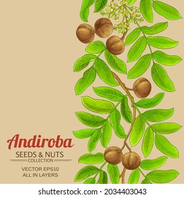 andiroba vector pattern on color background