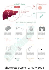 Andrade-Krankheit. Falsch gefaltetes TTR-Protein.Betroffene Systeme und Symptome
